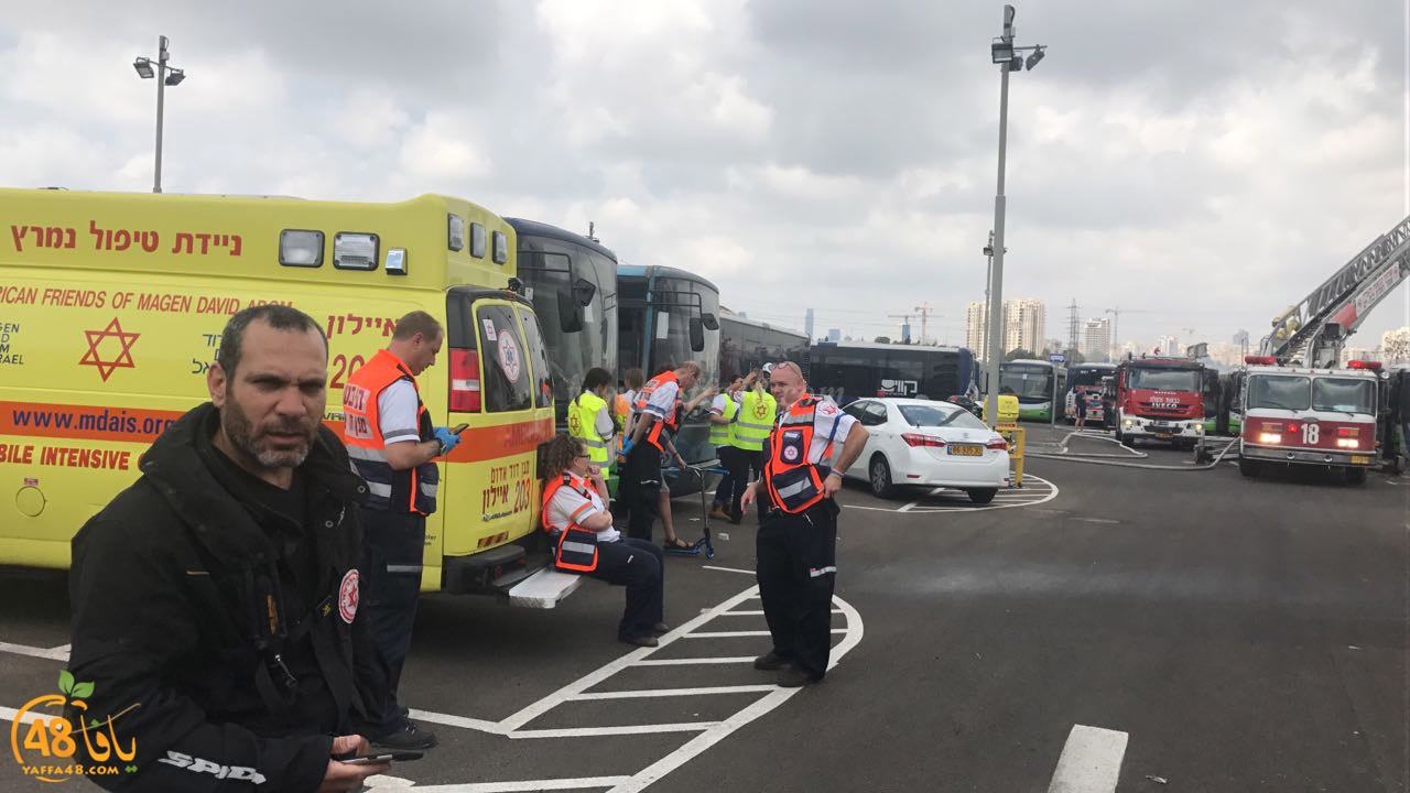 firbus eastyaffa (19).jpg